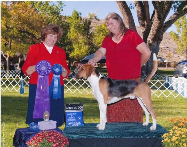 2009 winners dog.jpg